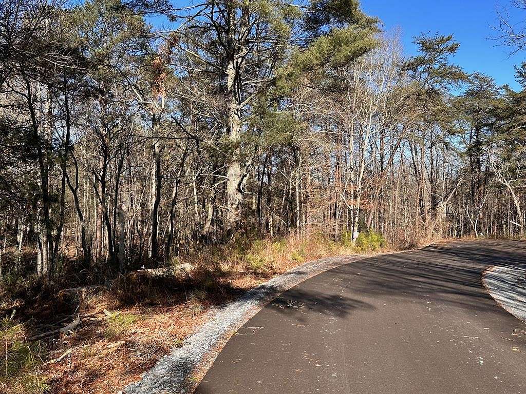 1 Acre of Residential Land for Sale in Morganton, Georgia