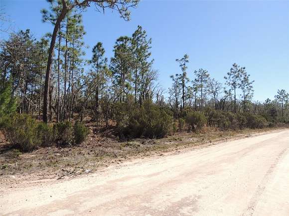 0.23 Acres of Land for Sale in Williston, Florida