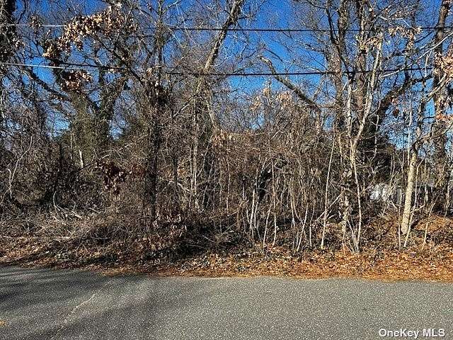 1 Acre of Residential Land for Sale in Selden, New York