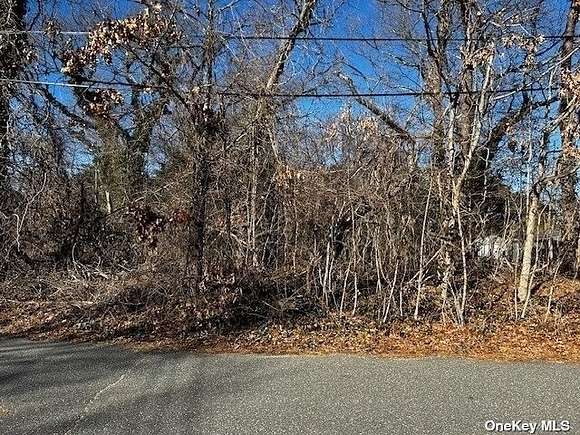 1 Acres of Residential Land for Sale in Selden, New York
