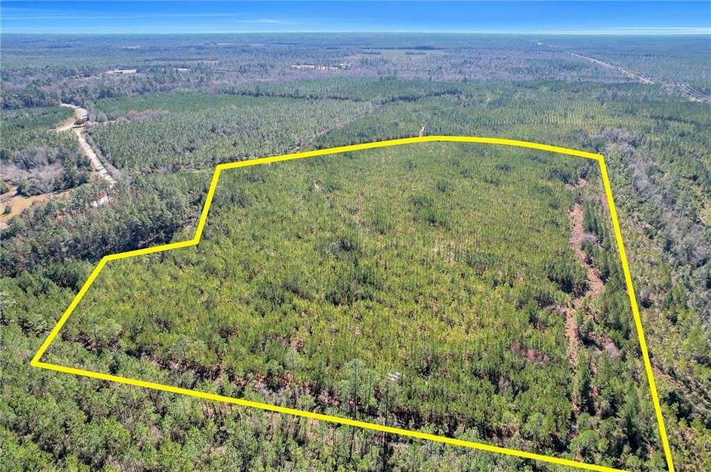 75 Acres of Land for Sale in Nahunta, Georgia