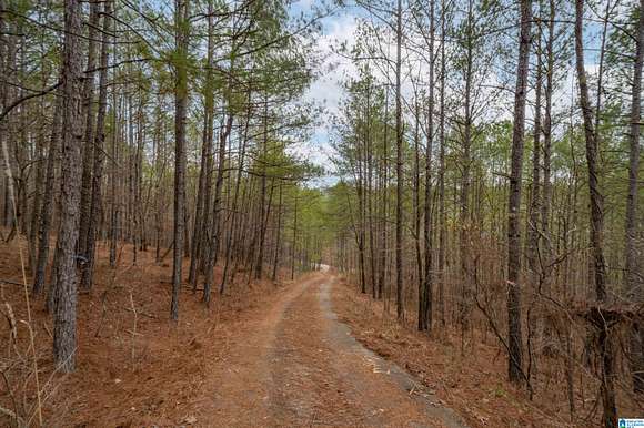6.7 Acres of Residential Land for Sale in Sterrett, Alabama