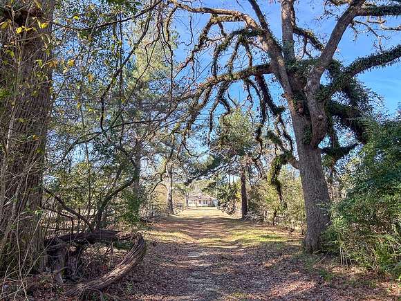 55 Acres of Improved Land for Sale in Lufkin, Texas