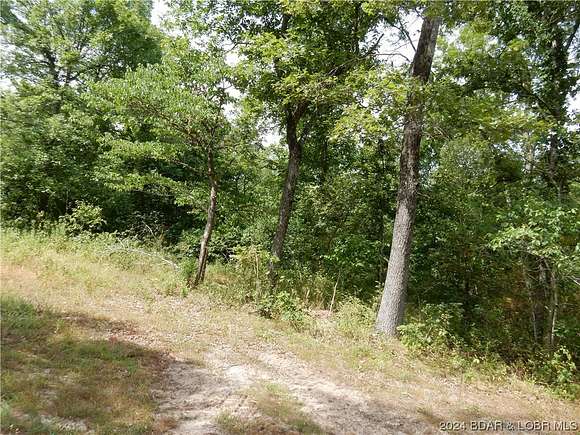 24 Acres of Land for Sale in Montreal, Missouri