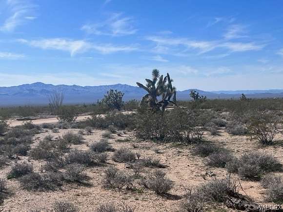40.2 Acres of Recreational Land & Farm for Sale in Yucca, Arizona