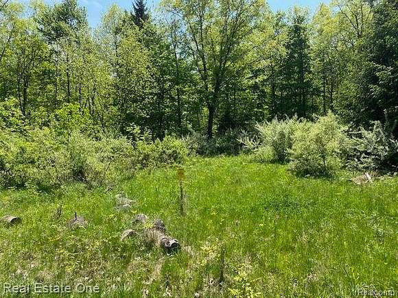 1.1 Acres of Residential Land for Sale in Metamora, Michigan