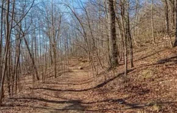 218 Acres of Land for Sale in Bland, Virginia