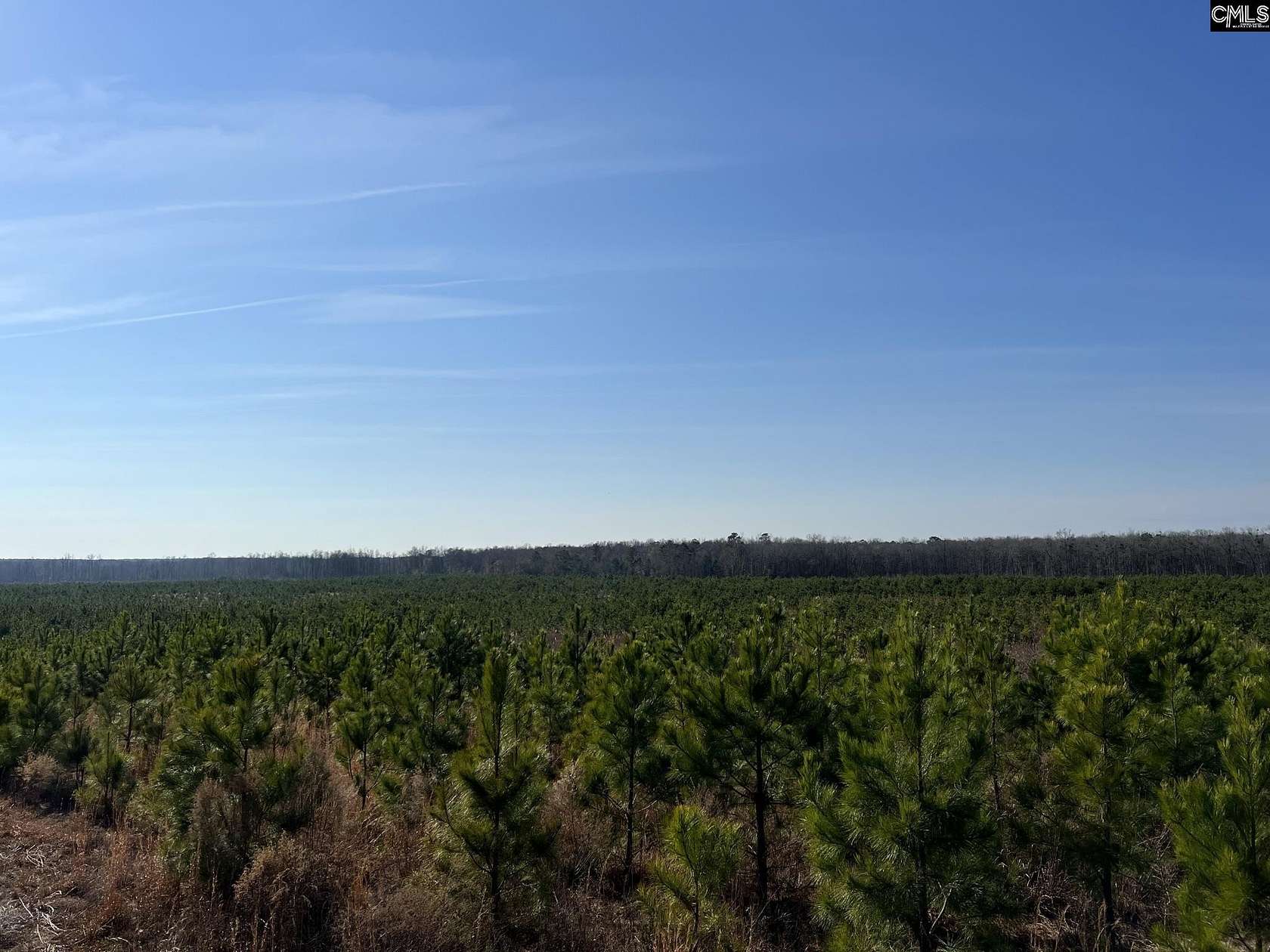 553 Acres of Recreational Land for Sale in Springfield, South Carolina