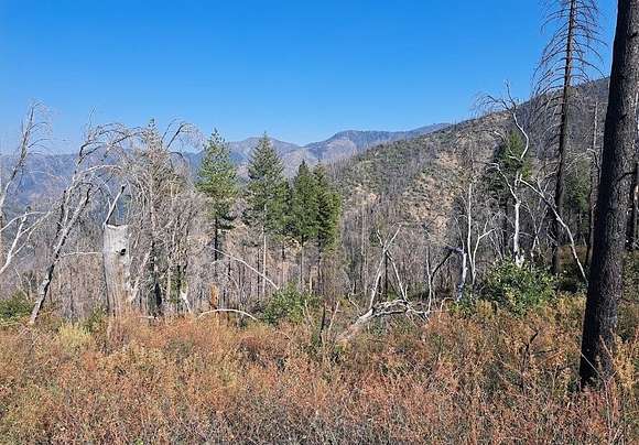 198 Acres of Land for Sale in French Gulch, California