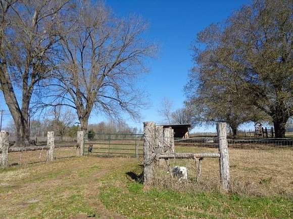 20 Acres of Land for Sale in Winnsboro, Texas