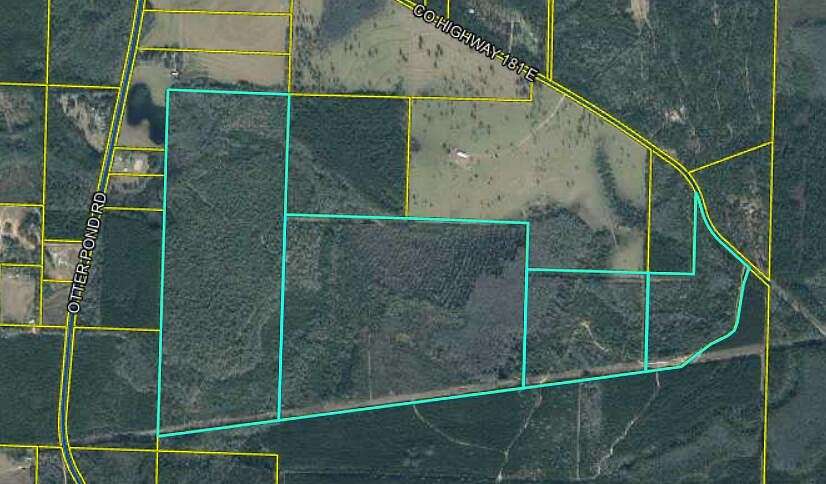 305 Acres of Recreational Land & Farm for Sale in Westville, Florida
