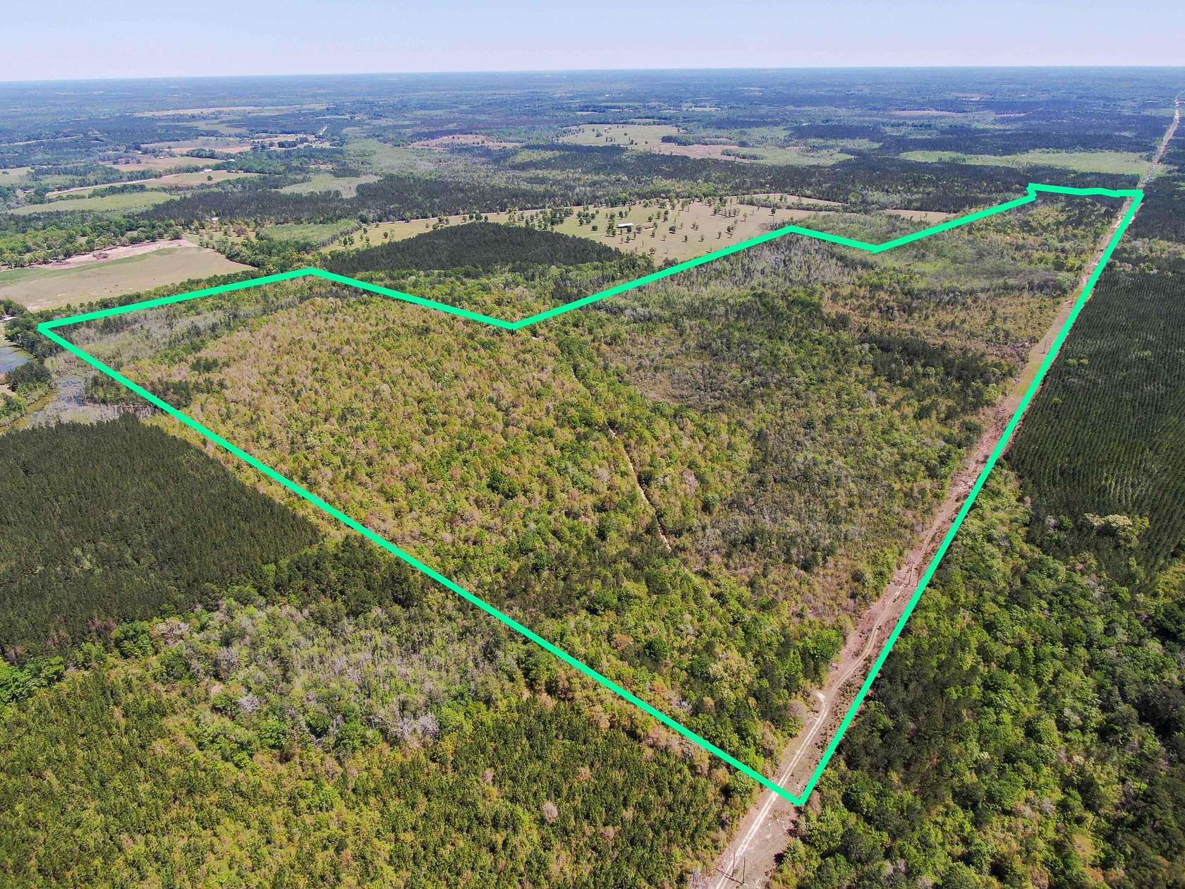 305 Acres of Recreational Land & Farm for Sale in Westville, Florida