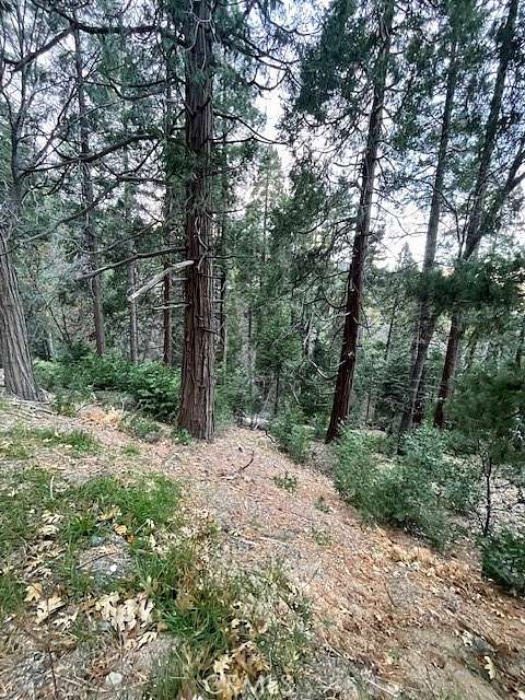 0.059 Acres of Residential Land for Sale in Cedarpines Park, California