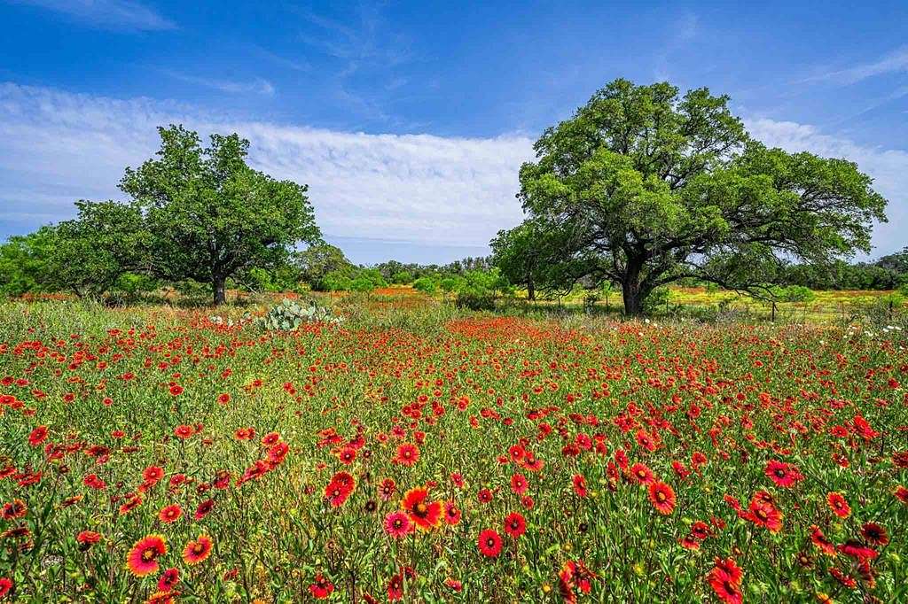 354.49 Acres of Agricultural Land for Sale in Mason, Texas