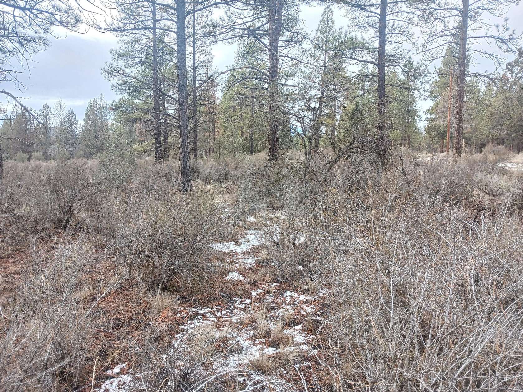 2.3 Acres of Residential Land for Sale in Chiloquin, Oregon