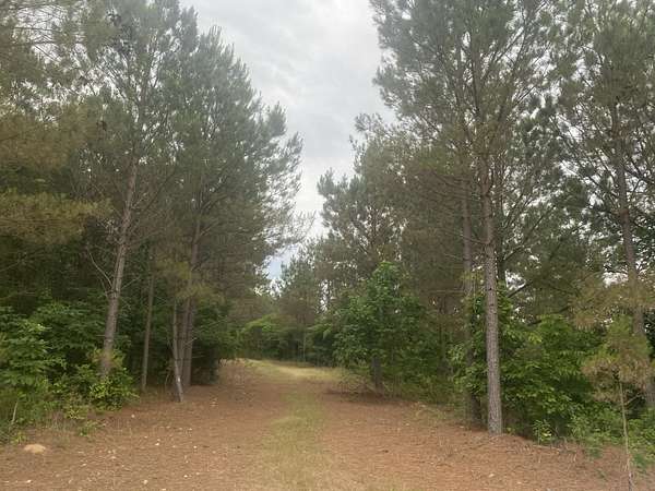 146 Acres of Recreational Land for Sale in Waynesboro, Tennessee