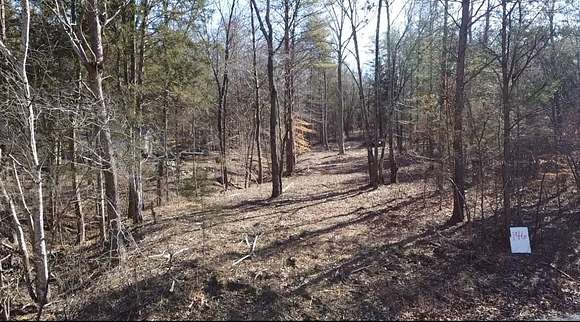 7.4 Acres of Recreational Land & Farm for Sale in Hohenwald, Tennessee