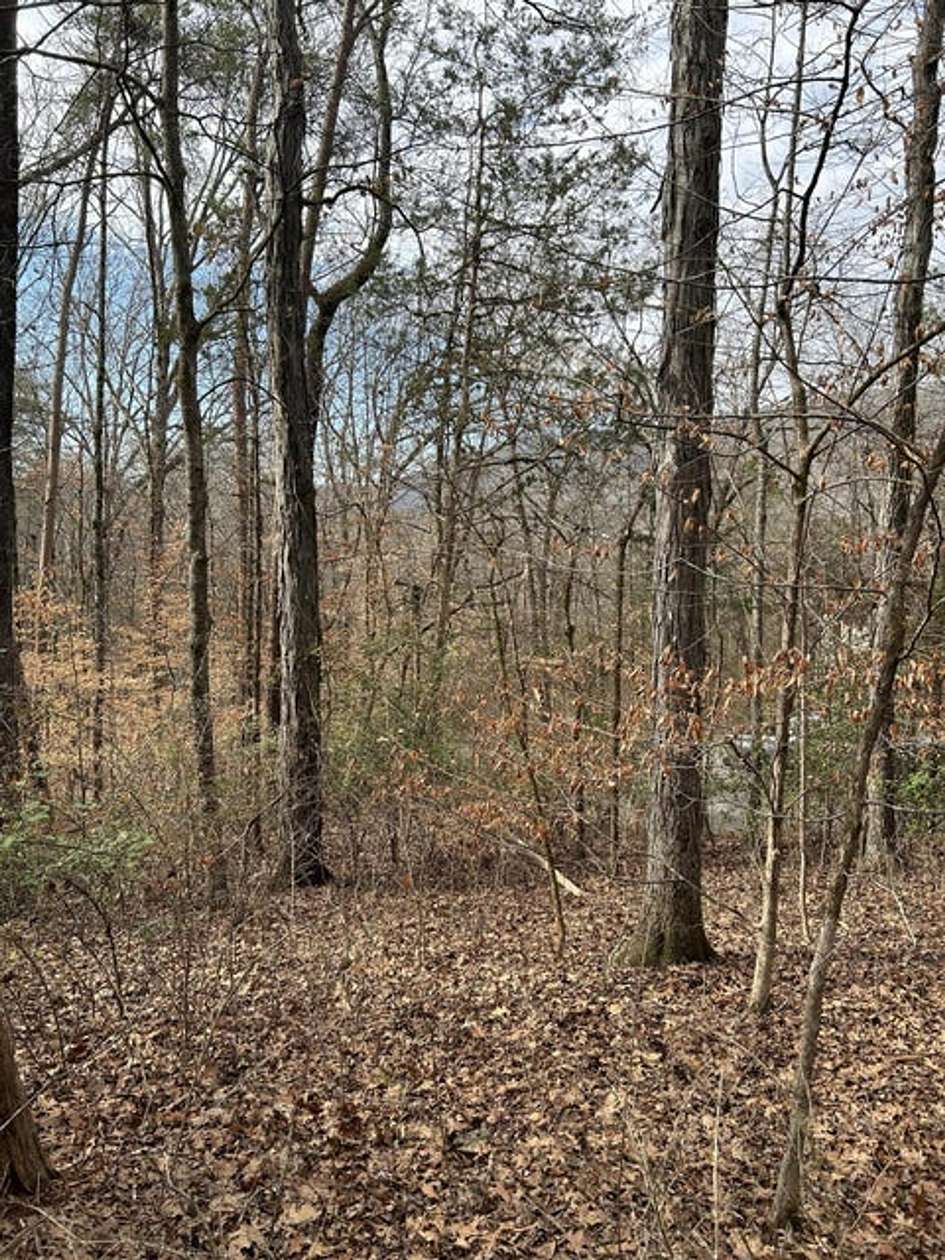 1.7 Acres of Residential Land for Sale in Chattanooga, Tennessee