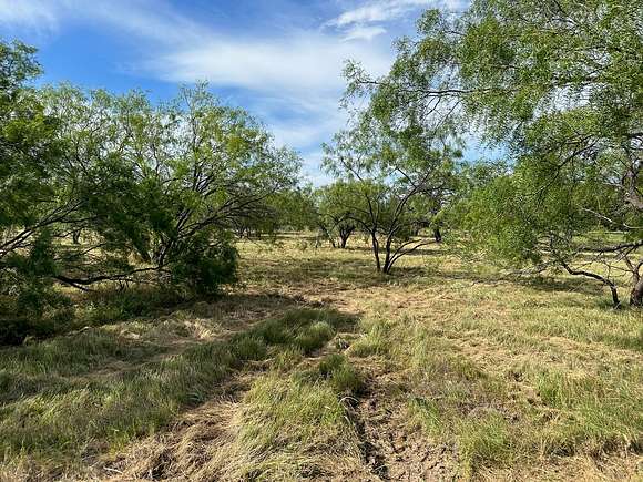 0.75 Acres of Residential Land for Sale in Brownwood, Texas
