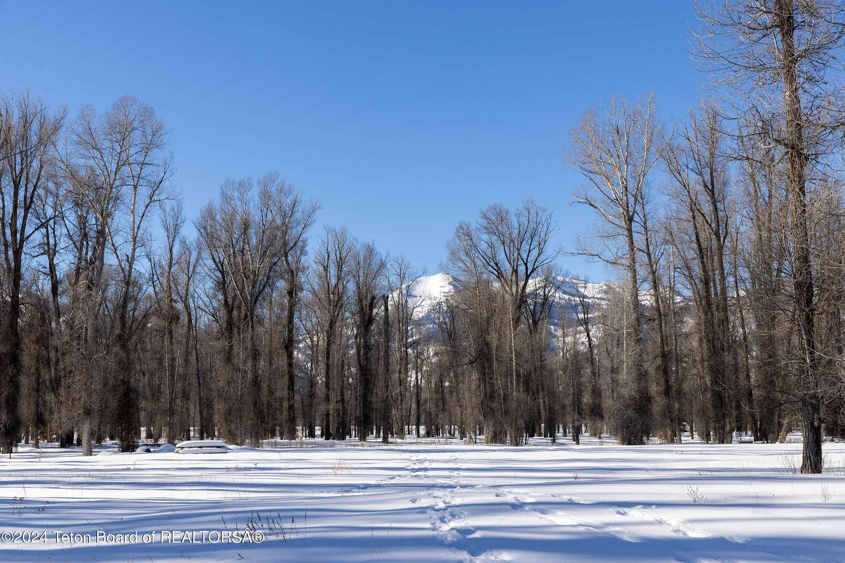 22 Acres of Land for Sale in Jackson, Wyoming