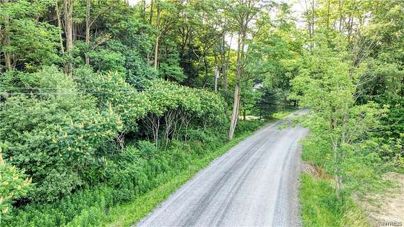 31.6 Acres of Land for Sale in Little Valley, New York