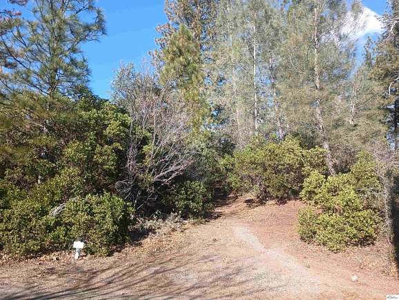 0.28 Acres of Residential Land for Sale in Paynes Creek, California