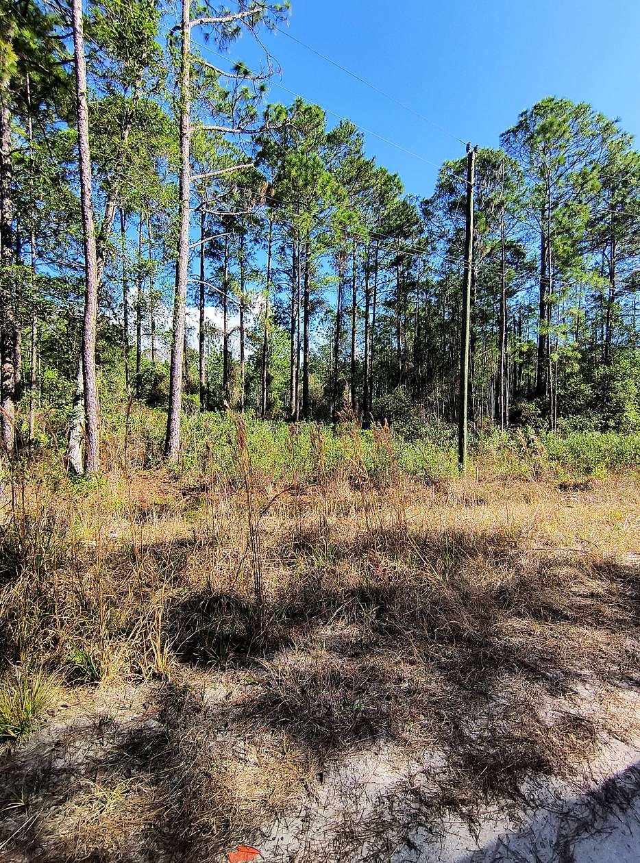 0.32 Acres of Residential Land for Sale in Georgetown, Florida