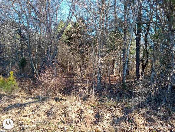 11 Acres of Recreational Land for Sale in Union, South Carolina