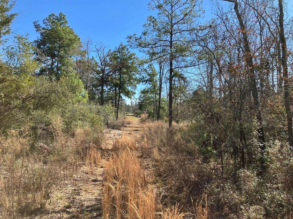 11.5 Acres of Land for Sale in Buffalo, Texas