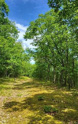 25 Acres of Land for Sale in Coeymans Town, New York