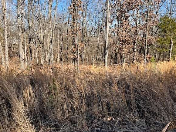 0.31 Acres of Residential Land for Sale in Bella Vista, Arkansas