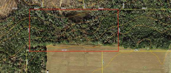 20 Acres of Recreational Land & Farm for Sale in Quincy, Florida