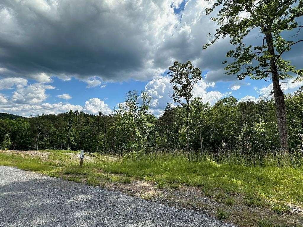 0.8 Acres of Residential Land for Sale in Mineral Bluff, Georgia