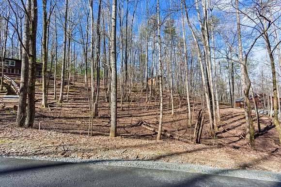 0.49 Acres of Residential Land for Sale in Ellijay, Georgia