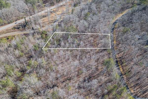 1 Acre of Residential Land for Sale in Ellijay, Georgia
