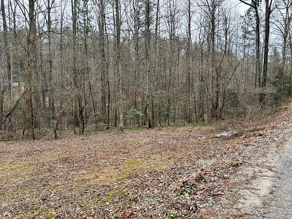 3 Acres of Residential Land for Sale in Ellijay, Georgia