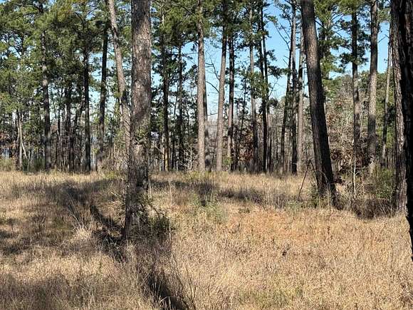 1 Acre of Residential Land for Sale in Brookeland, Texas