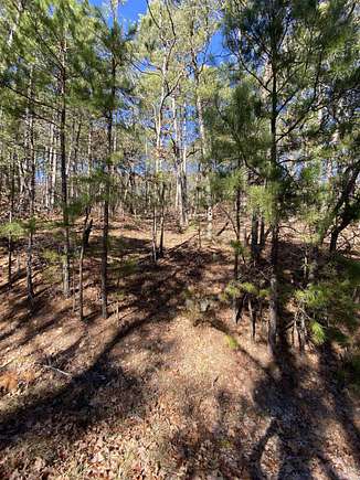 0.26 Acres of Residential Land for Sale in Hot Springs Village, Arkansas