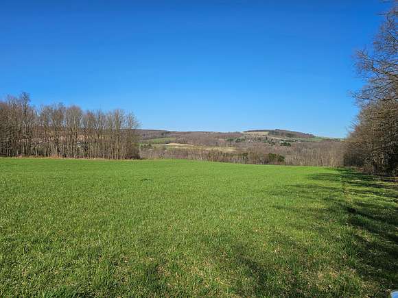 68 Acres of Recreational Land & Farm for Sale in Summerhill Town, New York