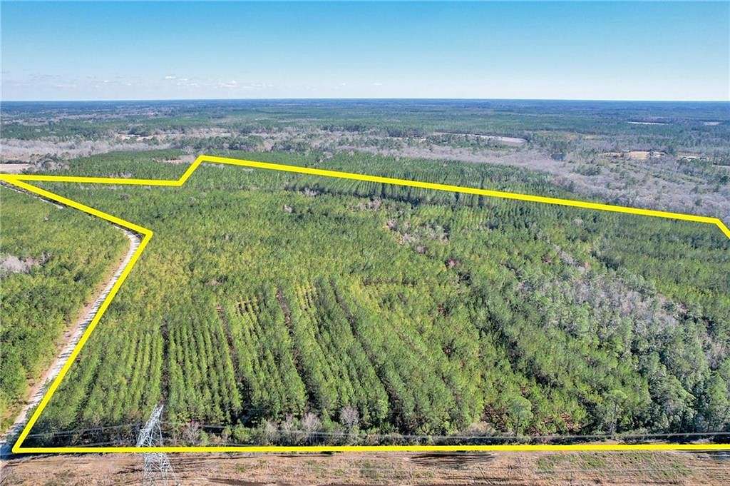 125 Acres of Land for Sale in Nahunta, Georgia