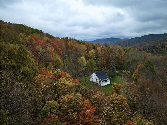 2.5 Acres of Residential Land with Home for Sale in De Lancey, New York