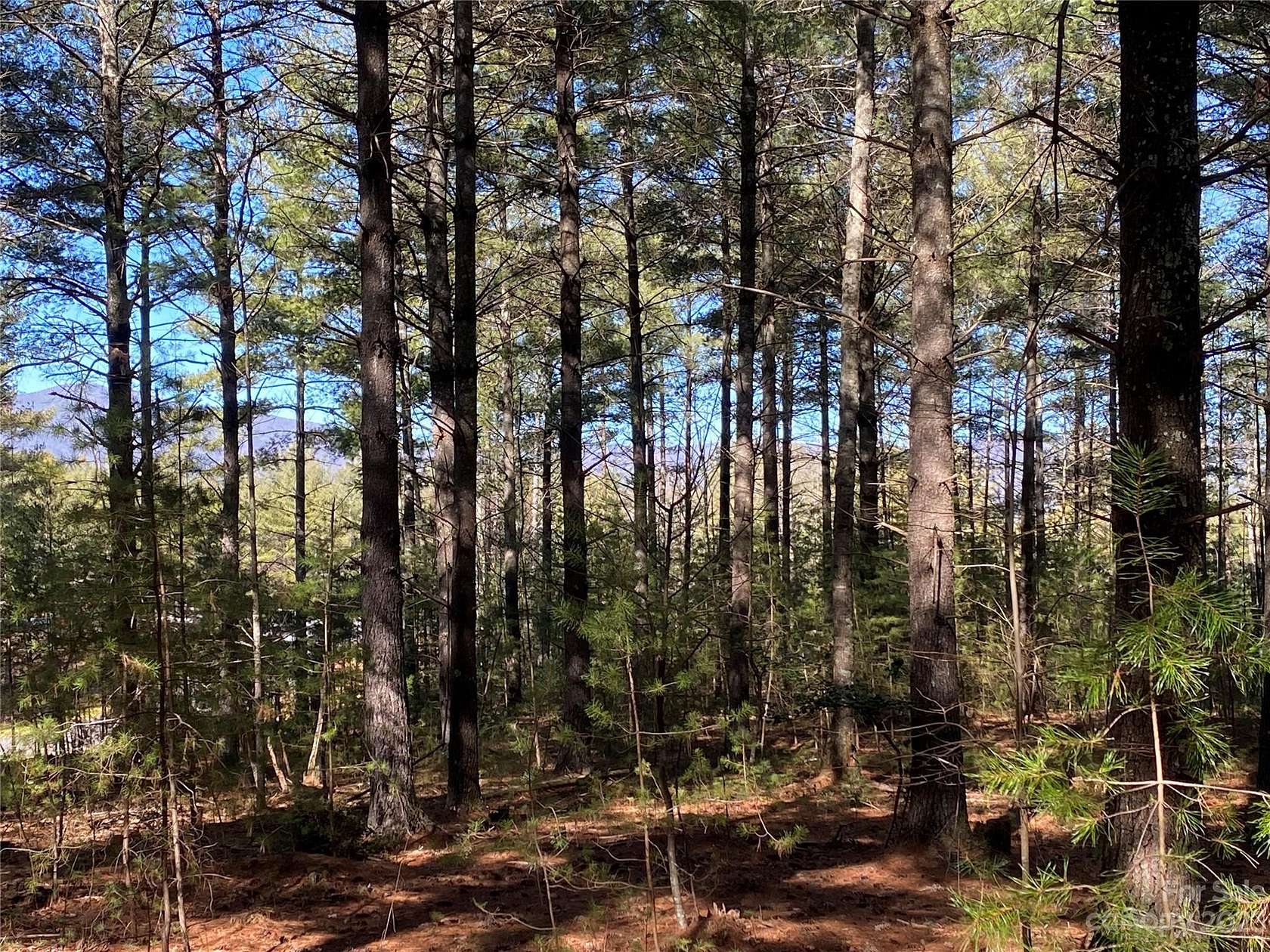 3.2 Acres of Land for Sale in Nebo, North Carolina