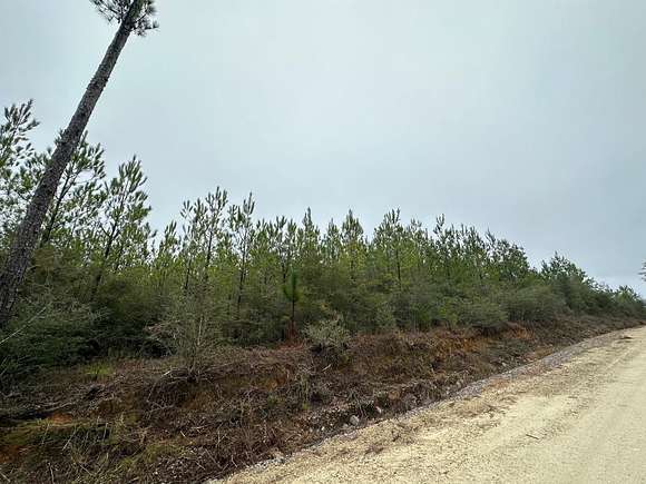 23.46 Acres of Recreational Land & Farm for Sale in Caryville, Florida