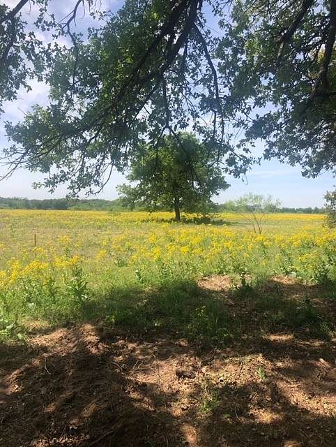 24.3 Acres of Land for Sale in Calvert, Texas