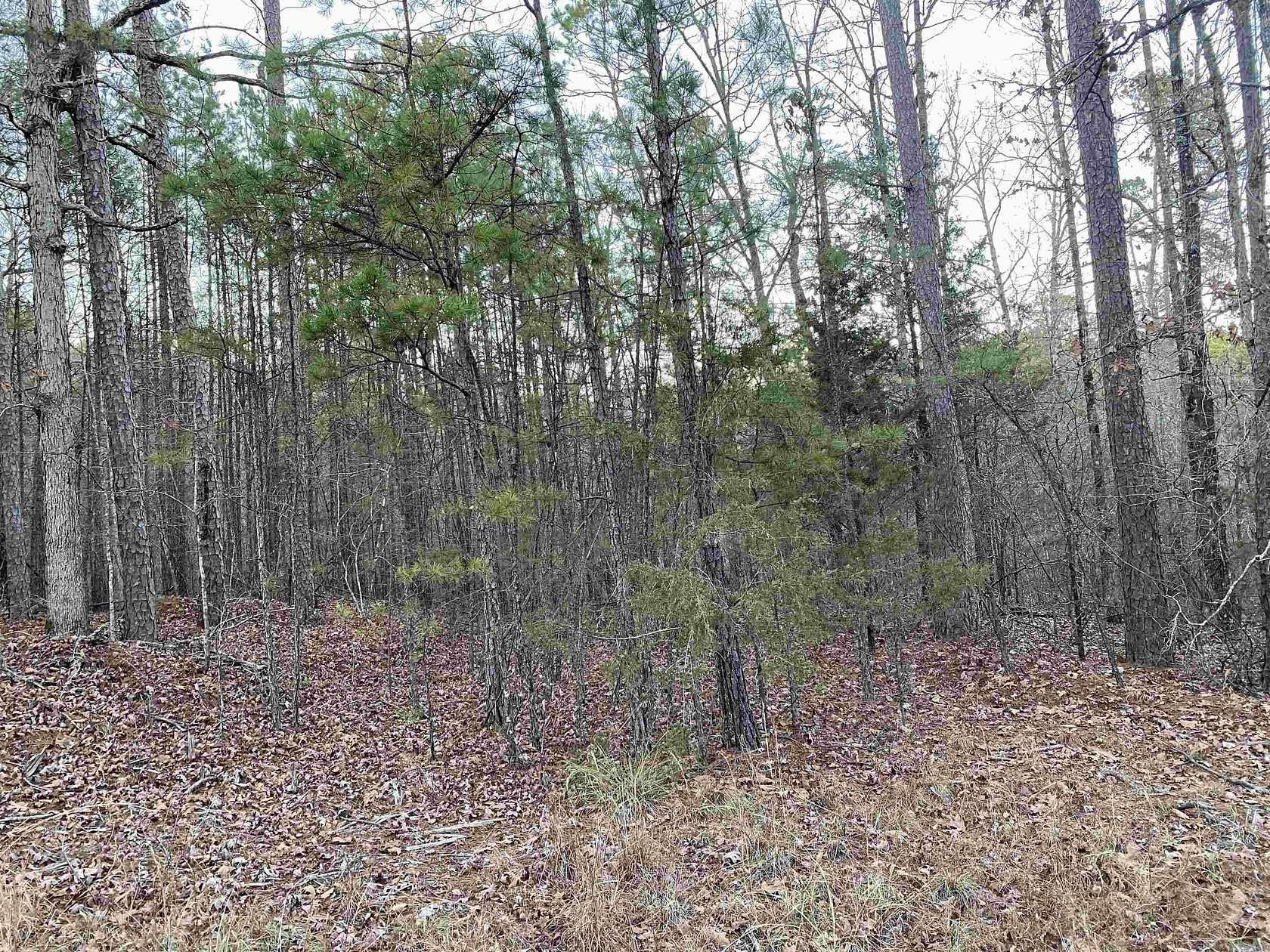 69.4 Acres of Recreational Land for Sale in Shirley, Arkansas