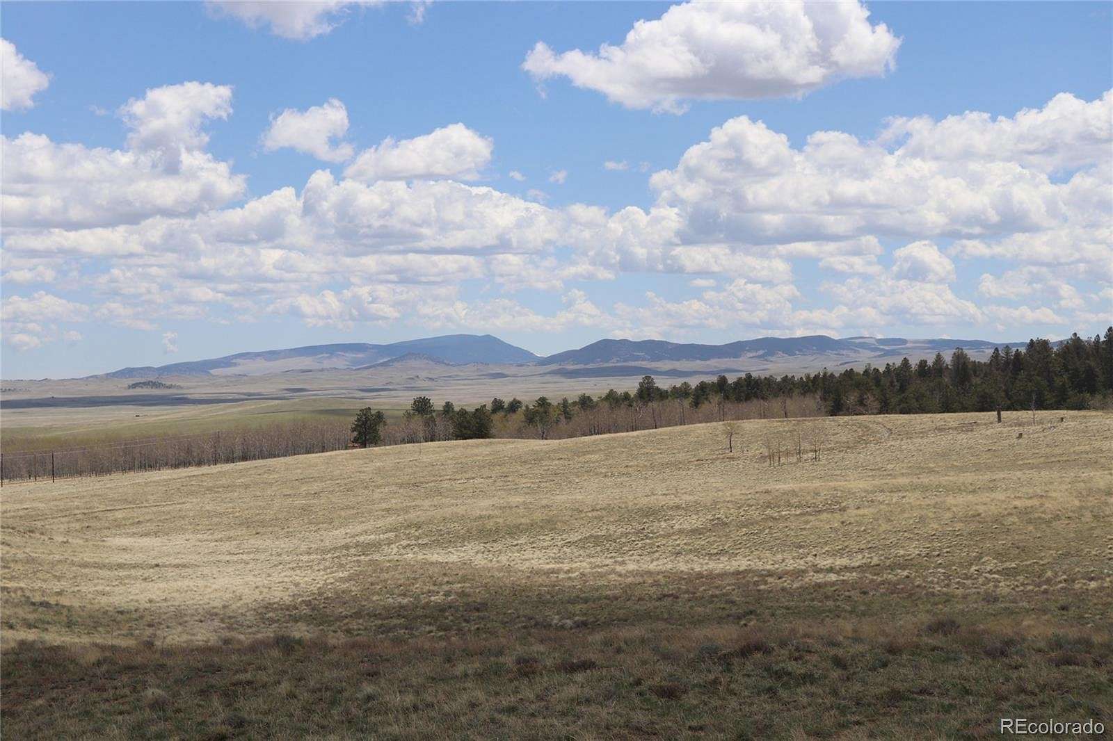 7.1 Acres of Residential Land for Sale in Hartsel, Colorado
