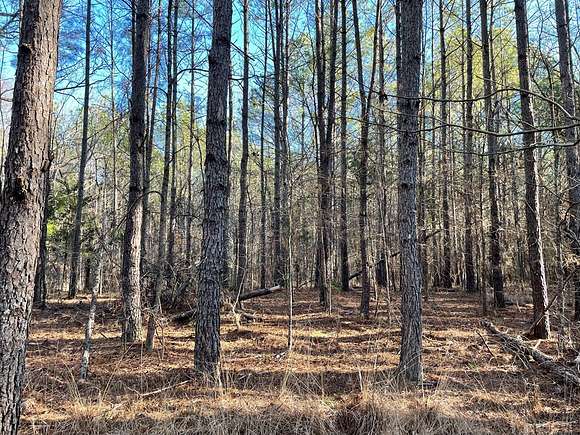 75 Acres of Recreational Land for Sale in Camden, Tennessee