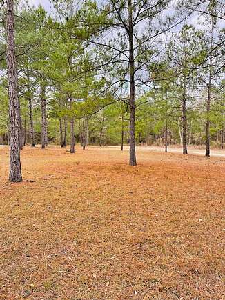 17.6 Acres of Recreational Land for Sale in Tifton, Georgia