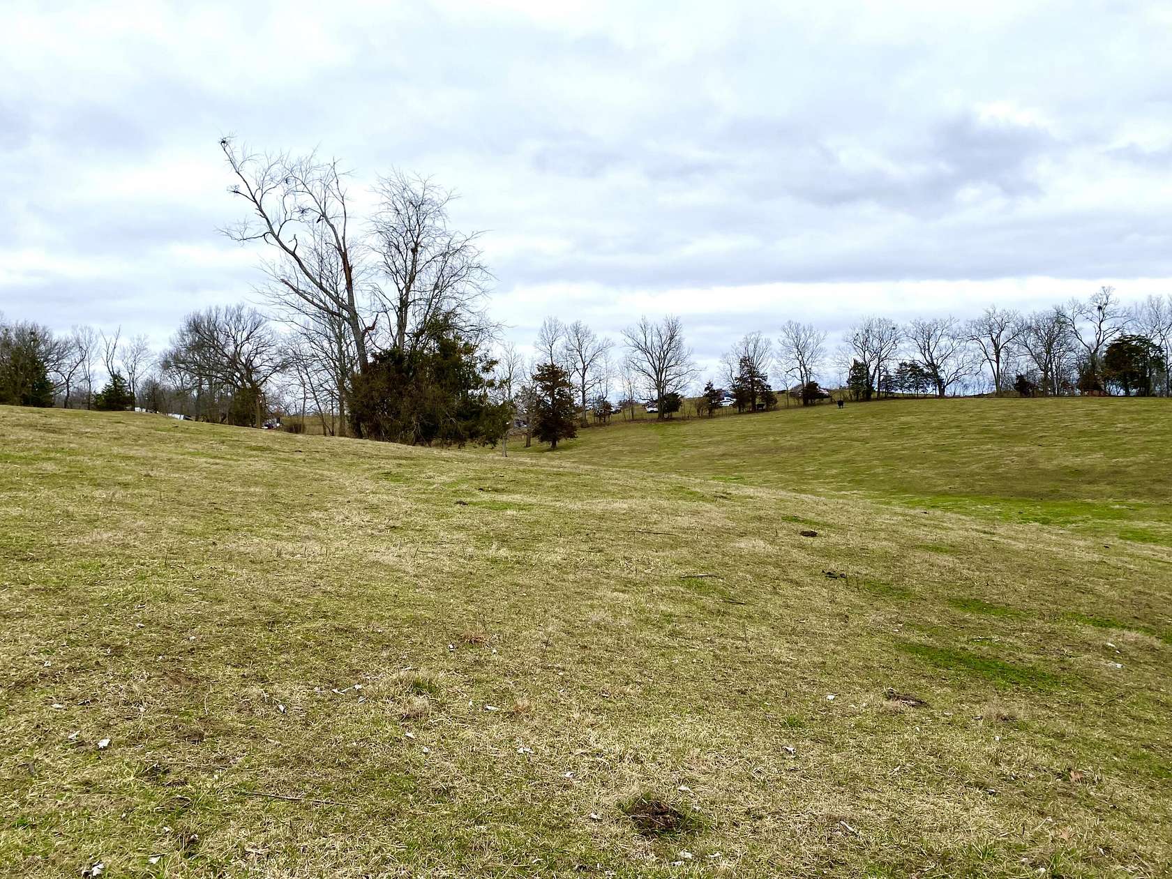 20.5 Acres of Agricultural Land for Sale in Stanford, Kentucky