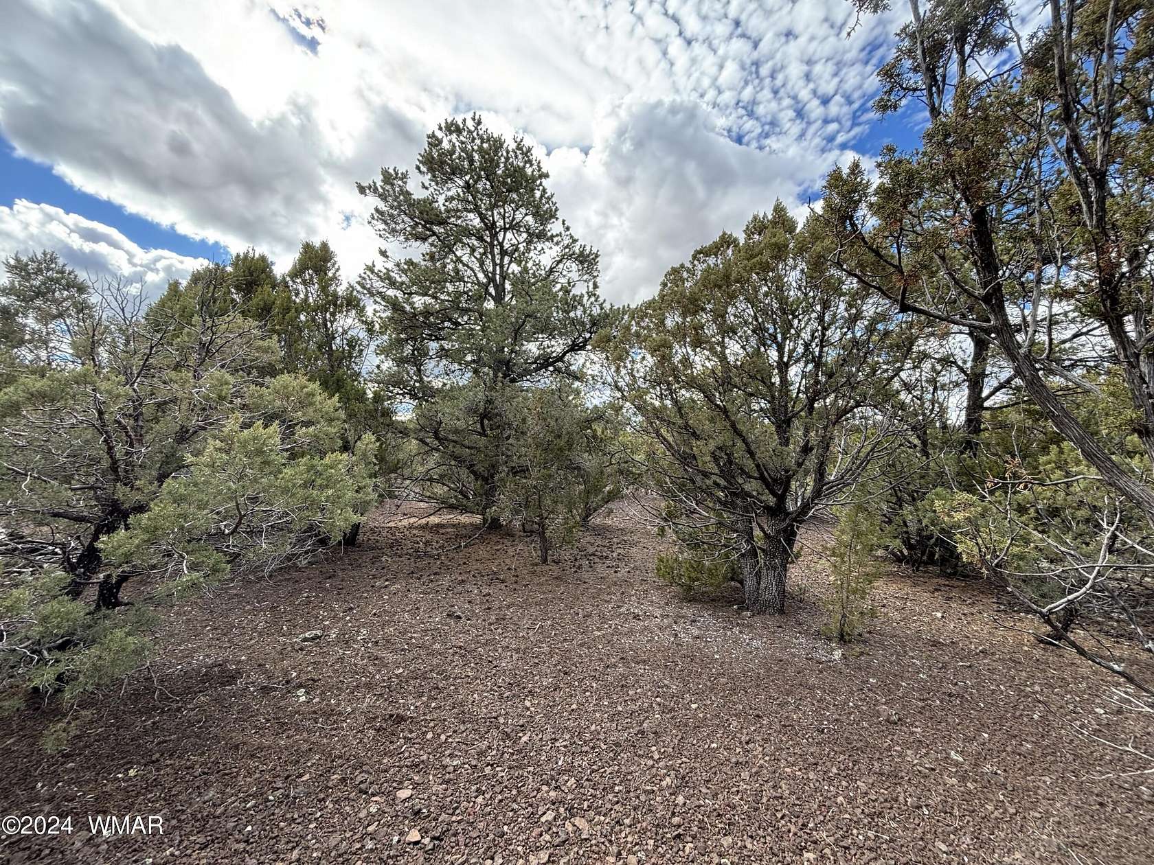 1.9 Acres of Residential Land for Sale in Vernon, Arizona